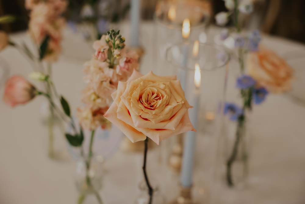 Peach roses and blue tapers down the table